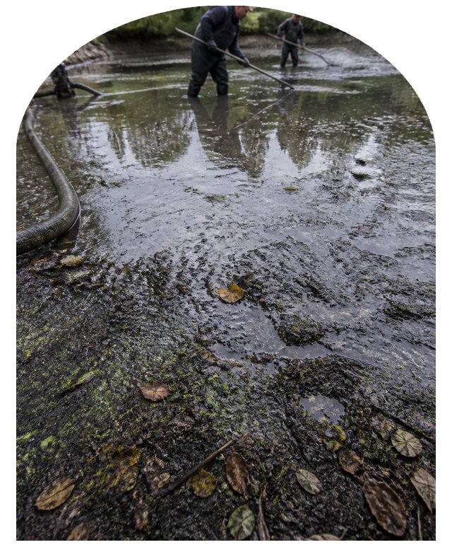 Очистка пруда в Медногорске от ила мусора и водорослей с вывозом
